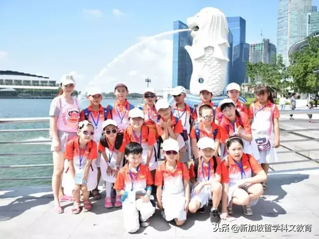 新加坡留学｜孩子就读新加坡小学，这些信息你需要了解