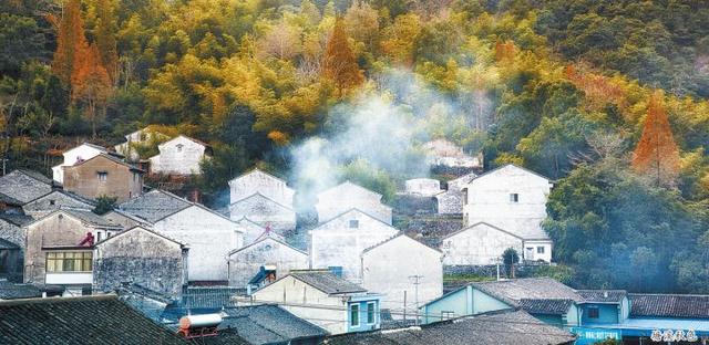 宁波日报特别报道聚焦鄞州特色小镇建设