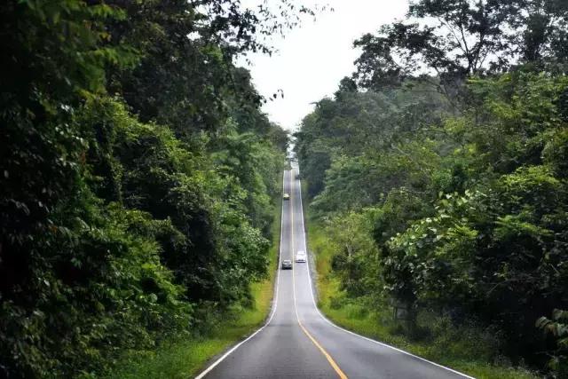 昆明-磨憨-老挝，春节最火的跨境自驾旅行路线，一路美到哭！