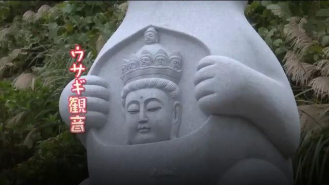 日本佛寺为野兔建观音像，半夜亮着红色兔眼，路人遇见受惊吓！