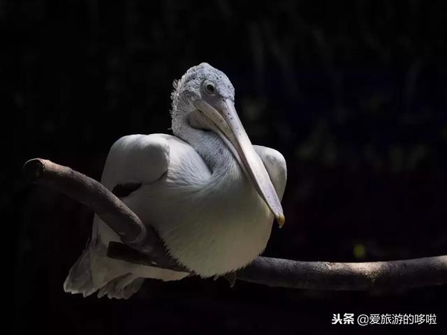 这个比日本还干净的国家，面积只有北京的1/2，好玩的地方这么多