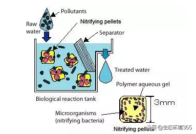 日本污水处理中水和泥的处理