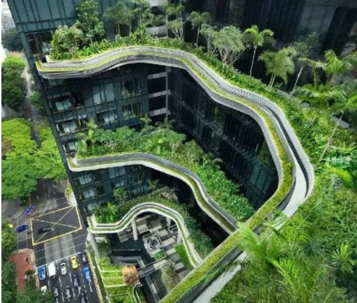 新加坡对绿化“中毒”太深，军人俱乐部硬整成“丛林”……
