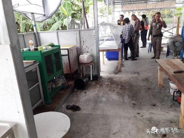 泰国警方辟谣“素食餐馆吃出人肉”是黑泰国的假新闻