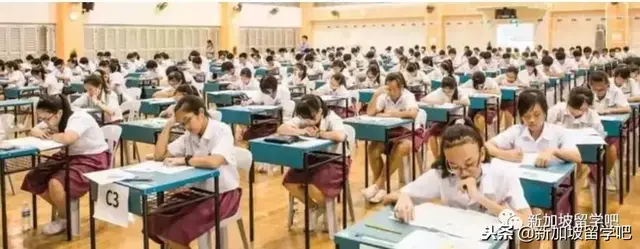 PSLE-新加坡小六会考放榜在即！
