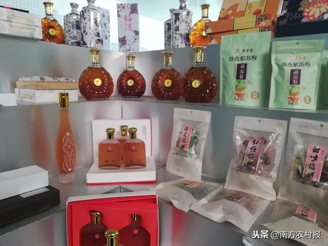一文看懂！普宁青梅“变身”农特产品“网红”