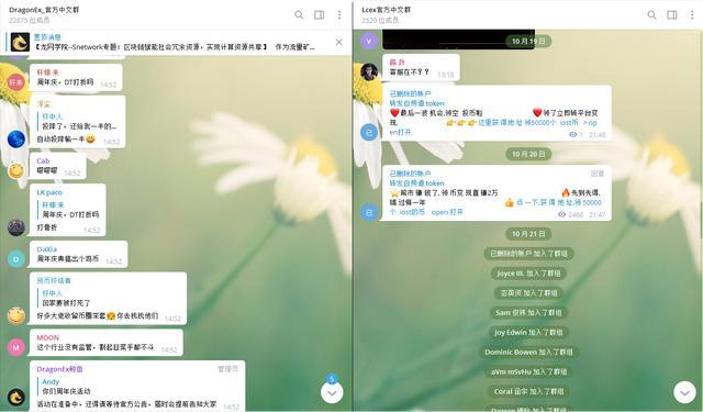 DragonEx龙网好像没什么厉害的，不过是留下来了而已