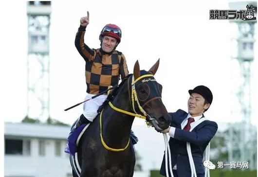 女皇伊利沙伯二世杯、新加坡金杯携手来袭