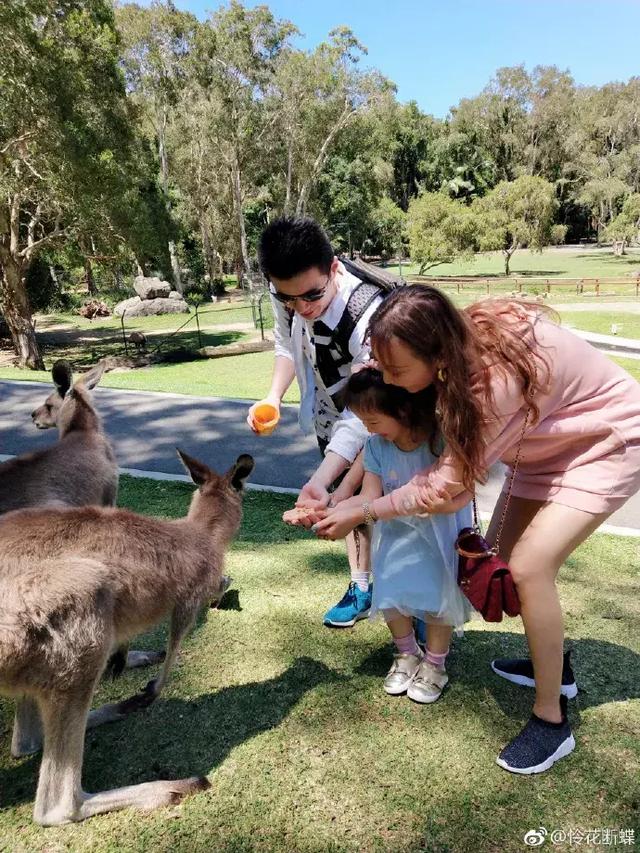 游记｜“麻麻，我想抱着考拉，去暖暖的海边过生日！” 澳洲篇