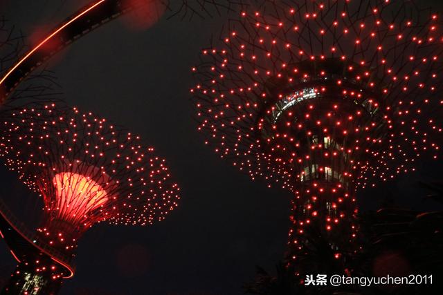 新加坡天空树，夜景浪漫，一脚踏入阿凡达电影世界