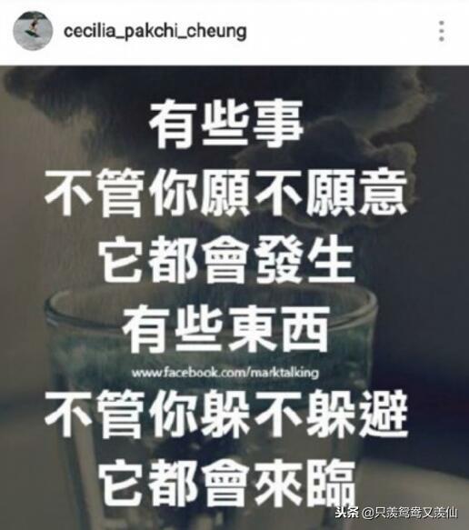 别再纠结孩子爸爸，任凭是谁都配不上张柏芝的盛世美颜啊……