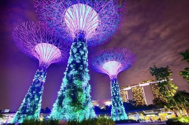 张柏芝产后旅行第一站去了新加坡，这座城市有何魅力？