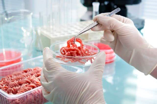 人造肉时代将来临：60天可造5000吨肉，三家公司获比尔盖茨投资