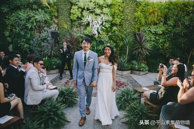 别样的绿色婚礼，植物墙为其锦上添花！