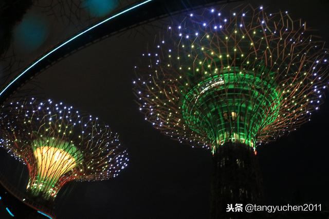 新加坡天空树，夜景浪漫，一脚踏入阿凡达电影世界