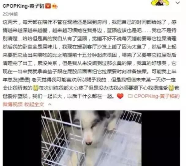 杨幂离婚后首现身？赵薇回应新加坡籍？张云雷被捧成流量？