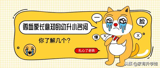 扫盲丨幼升小入门必须知道的11个名词和暗语！