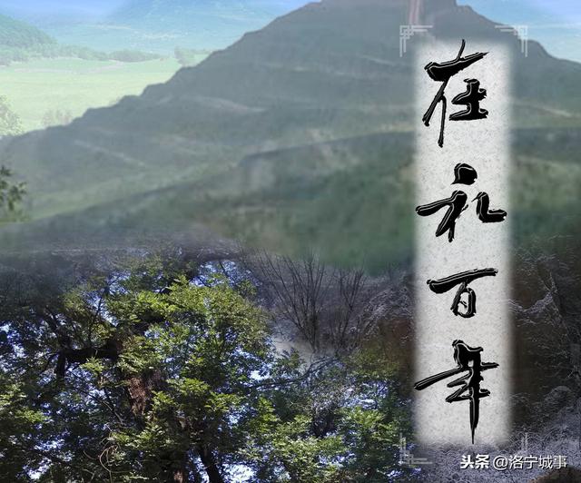 洛宁县在礼村姓氏文化调查之六——在礼张氏