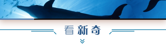 看世界︱法国政府放弃上调燃油税 新加坡“第四代”亮相