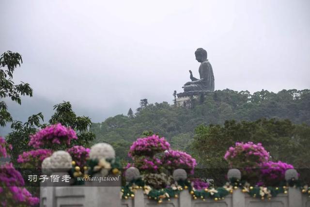 打卡港珠澳大桥，邂逅香港全新光之艺术盛宴