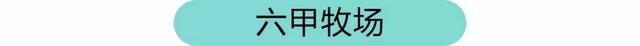 这些首登上海的国外神仙美食，全都好吃得不像话！