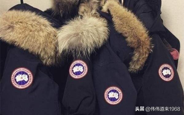 加拿大鹅北京三里屯旗舰店开业，遭国人疯狂抢购，在打谁的脸？