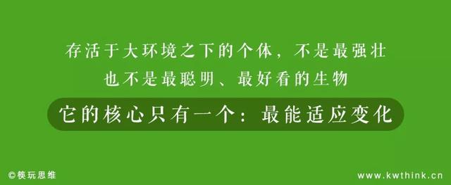 解构上海城市餐饮，破局红海的新打法我们给您整理全了