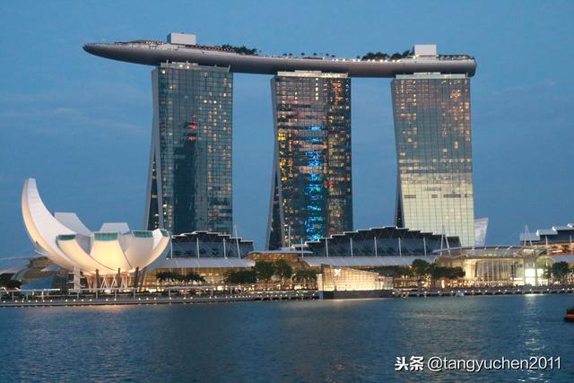 新加坡天空树，夜景浪漫，一脚踏入阿凡达电影世界