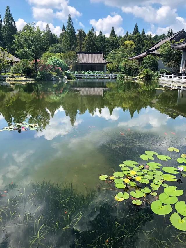 2018味觉大师星级餐厅 · 杭州获奖名单