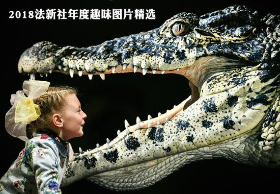 2018法新社年度趣味图片精选