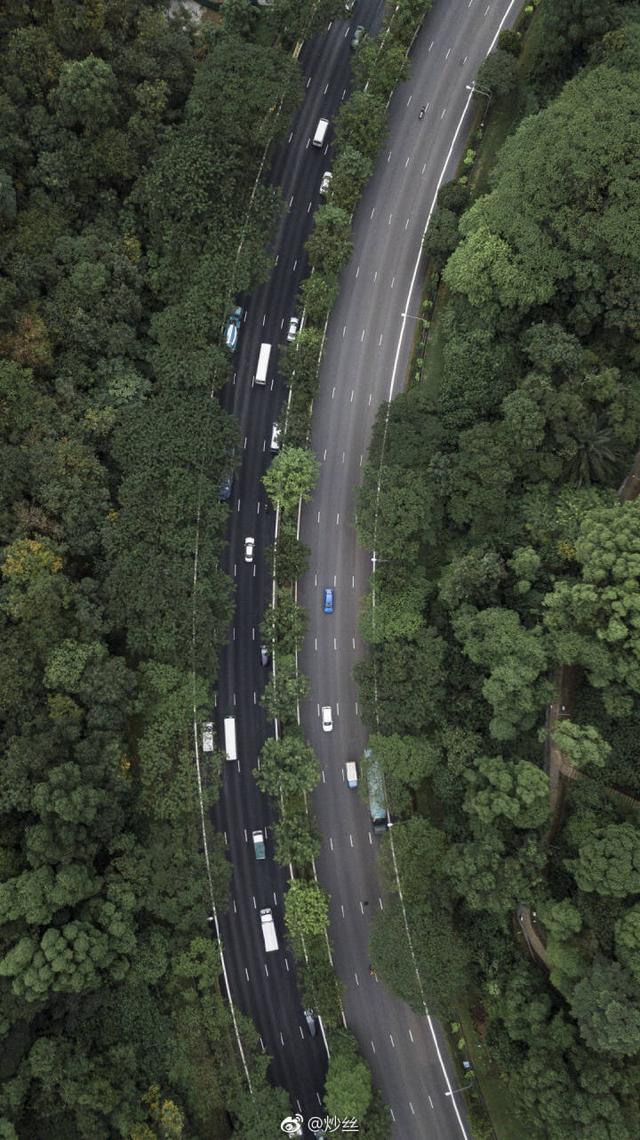 新加坡：花园里的城市