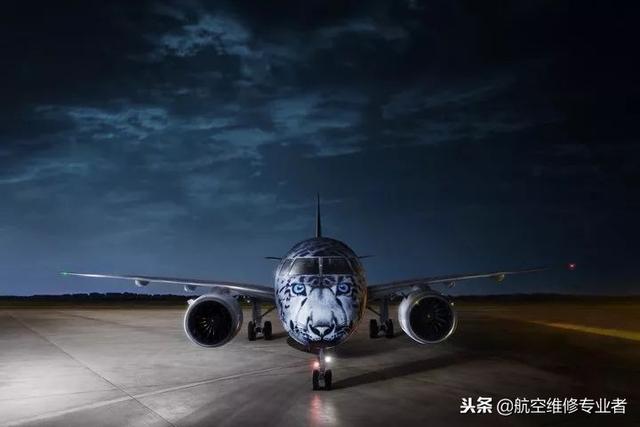 涂装也是战斗力，2018民航界的战斗力爆表了