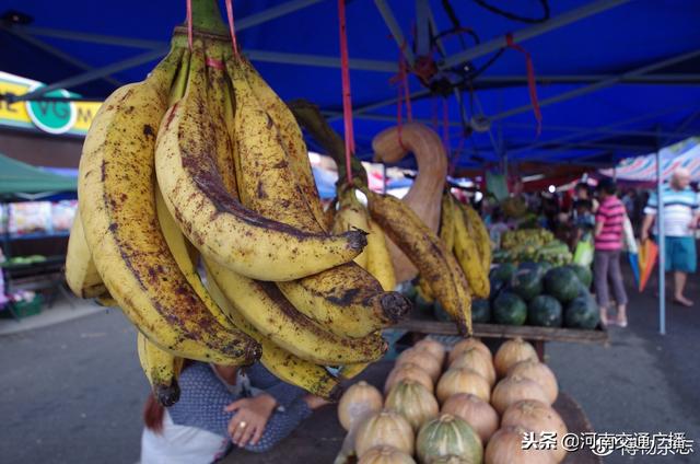 东南亚市场奇葩水果图鉴