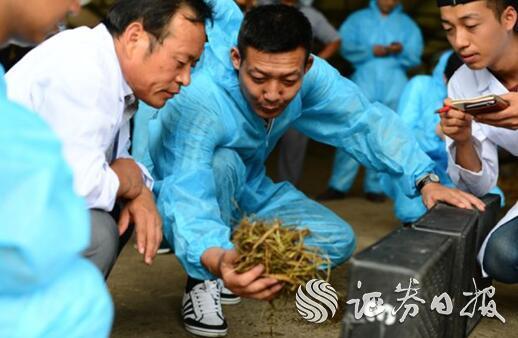 一杯牛奶强壮一个民族 “要强”蒙牛用19年书写中国乳业时代传奇