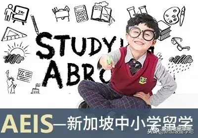 S-AEIS 2019年新加坡公立/政府中小学考试报名倒计时！