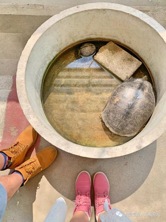 慢慢的泰国旅行记：慢下来，在曼谷的烈日下，逛吃逛吃逛吃吃吃～