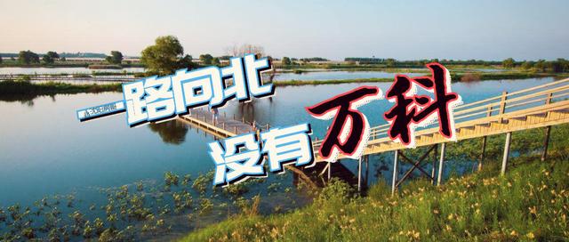 沈北那么大，却容不下一个万科！
