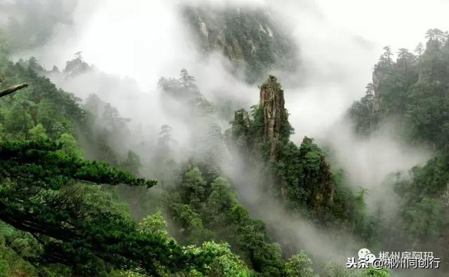 莽山瑶溪谷｜大山深处的财富明珠