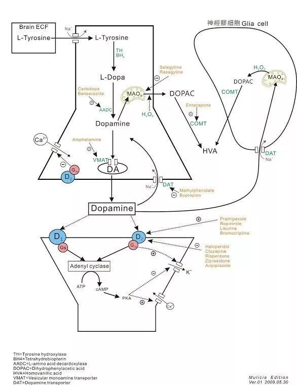 新加坡NTU成为最好的科技学校