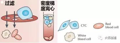 深度｜循环肿瘤细胞的检测方法