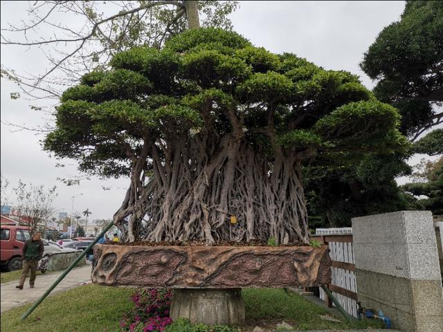 边旅游边历史（4）有个花花世界，男人花，女人也花！