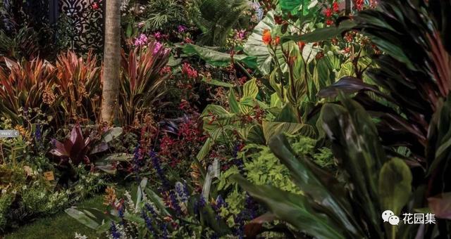 切尔西花展、新加坡花园节金奖设计师齐聚2019花园大会