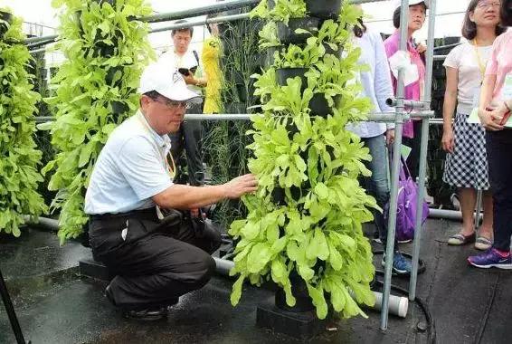 台湾田园综合体与乡村旅游20条经验赏析