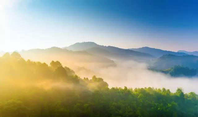 富豪都偏爱的魅力半山，中山典藏级豪宅彰显人生新尺度