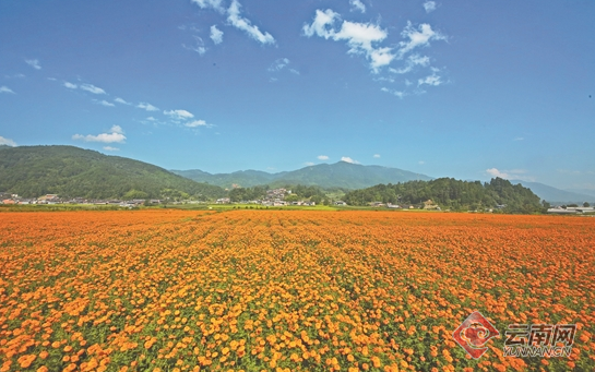 践行“绿水青山就是金山银山” 腾冲打造世界健康生活目的地