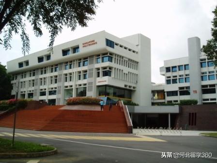新加坡理工学院 VS 国内一本大学，哪些优势更加能够吸引你？