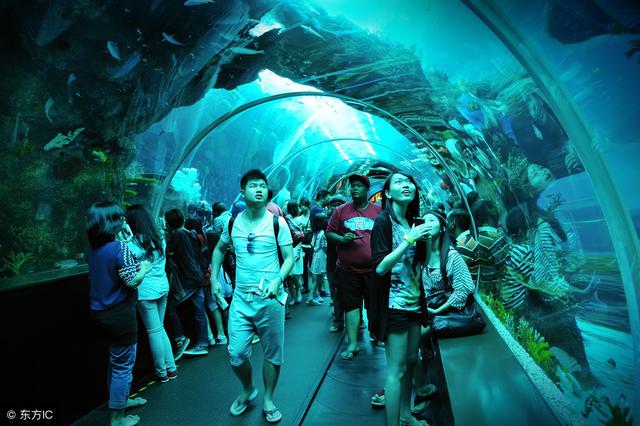 去新加坡旅游，这10大景点不容错过，保证嗨到爆~