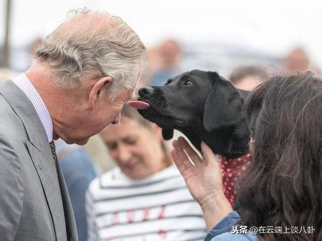 喂，快点从我头上走开，我不要脸啊……面对蠢萌的动物大佬也没辙