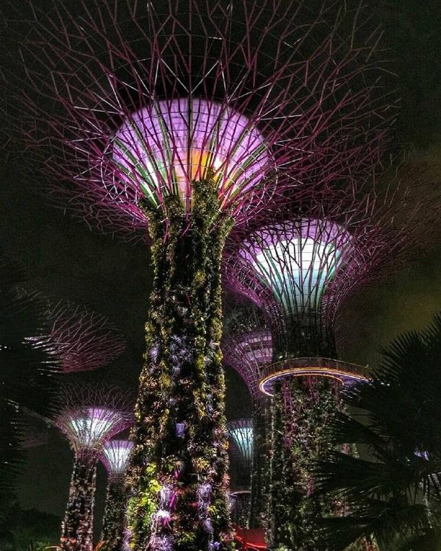 超美的新加坡夜景
