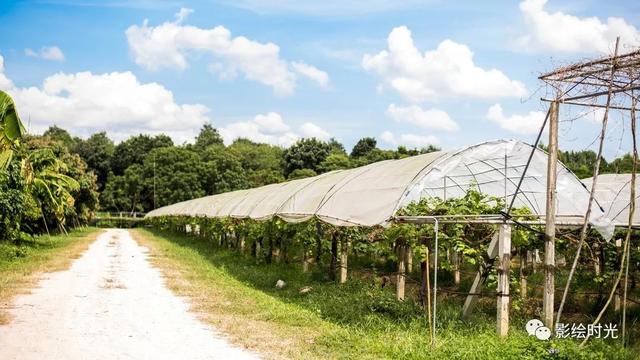 乐游暹罗之转海穿城探神奇，食住行游泰美满